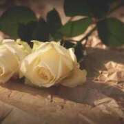 ヒメ日記 2025/04/19 18:02 投稿 新人・真白(ましろ) グランドオペラ福岡