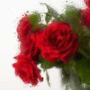 ヒメ日記 2025/04/19 23:12 投稿 新人・真白(ましろ) グランドオペラ福岡