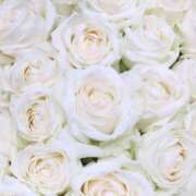 ヒメ日記 2025/04/20 00:09 投稿 新人・真白(ましろ) グランドオペラ福岡