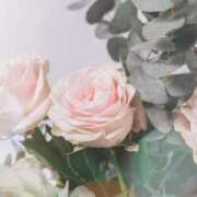 ヒメ日記 2025/04/20 03:11 投稿 新人・真白(ましろ) グランドオペラ福岡