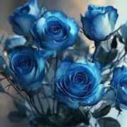 ヒメ日記 2025/04/20 23:26 投稿 新人・真白(ましろ) グランドオペラ福岡