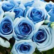 ヒメ日記 2025/04/21 21:35 投稿 新人・真白(ましろ) グランドオペラ福岡