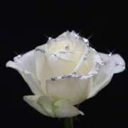 ヒメ日記 2025/04/22 11:01 投稿 新人・真白(ましろ) グランドオペラ福岡