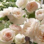 ヒメ日記 2025/04/22 15:41 投稿 新人・真白(ましろ) グランドオペラ福岡