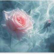 ヒメ日記 2025/04/23 00:18 投稿 新人・真白(ましろ) グランドオペラ福岡