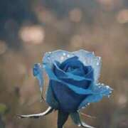 ヒメ日記 2025/04/23 23:02 投稿 新人・真白(ましろ) グランドオペラ福岡