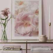 ヒメ日記 2025/04/24 18:02 投稿 新人・真白(ましろ) グランドオペラ福岡