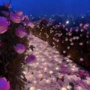 ヒメ日記 2025/04/24 21:37 投稿 新人・真白(ましろ) グランドオペラ福岡