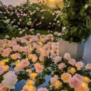 ヒメ日記 2025/04/25 00:49 投稿 新人・真白(ましろ) グランドオペラ福岡