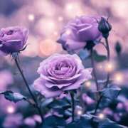 ヒメ日記 2025/04/25 02:38 投稿 新人・真白(ましろ) グランドオペラ福岡