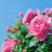 ヒメ日記 2025/04/25 09:02 投稿 新人・真白(ましろ) グランドオペラ福岡