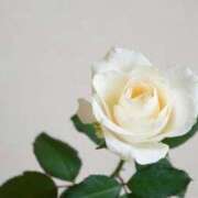 ヒメ日記 2025/04/26 17:21 投稿 新人・真白(ましろ) グランドオペラ福岡