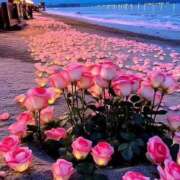 ヒメ日記 2025/04/27 00:41 投稿 新人・真白(ましろ) グランドオペラ福岡