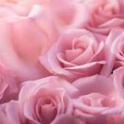 ヒメ日記 2025/04/29 22:54 投稿 新人・真白(ましろ) グランドオペラ福岡