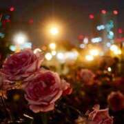 ヒメ日記 2025/05/03 23:51 投稿 新人・真白(ましろ) グランドオペラ福岡