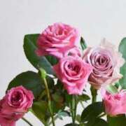 ヒメ日記 2025/05/05 23:41 投稿 新人・真白(ましろ) グランドオペラ福岡