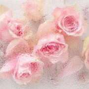 ヒメ日記 2025/05/07 22:51 投稿 新人・真白(ましろ) グランドオペラ福岡