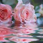 ヒメ日記 2025/05/08 00:55 投稿 新人・真白(ましろ) グランドオペラ福岡