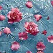 ヒメ日記 2025/05/08 10:56 投稿 新人・真白(ましろ) グランドオペラ福岡