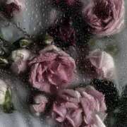 ヒメ日記 2025/05/08 11:02 投稿 新人・真白(ましろ) グランドオペラ福岡