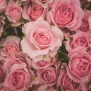 ヒメ日記 2025/05/11 11:21 投稿 新人・真白(ましろ) グランドオペラ福岡