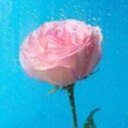 ヒメ日記 2025/05/11 16:41 投稿 新人・真白(ましろ) グランドオペラ福岡