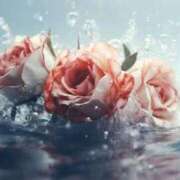 ヒメ日記 2025/05/12 17:47 投稿 新人・真白(ましろ) グランドオペラ福岡