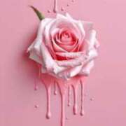 ヒメ日記 2025/05/13 01:42 投稿 新人・真白(ましろ) グランドオペラ福岡