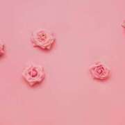 ヒメ日記 2025/05/14 12:21 投稿 新人・真白(ましろ) グランドオペラ福岡