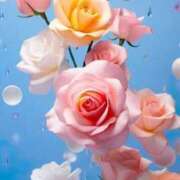 ヒメ日記 2025/05/14 12:25 投稿 新人・真白(ましろ) グランドオペラ福岡