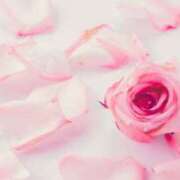 ヒメ日記 2025/05/14 13:51 投稿 新人・真白(ましろ) グランドオペラ福岡