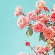 ヒメ日記 2025/05/15 01:03 投稿 新人・真白(ましろ) グランドオペラ福岡