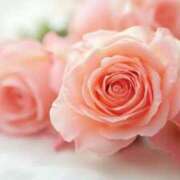 ヒメ日記 2025/05/15 01:35 投稿 新人・真白(ましろ) グランドオペラ福岡