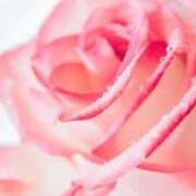 ヒメ日記 2025/05/15 14:04 投稿 新人・真白(ましろ) グランドオペラ福岡