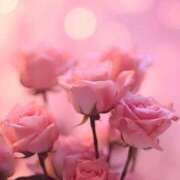 ヒメ日記 2025/05/16 05:31 投稿 新人・真白(ましろ) グランドオペラ福岡