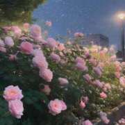 ヒメ日記 2025/05/18 22:26 投稿 新人・真白(ましろ) グランドオペラ福岡