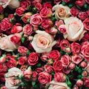 ヒメ日記 2025/05/18 23:06 投稿 新人・真白(ましろ) グランドオペラ福岡