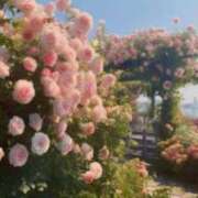 ヒメ日記 2025/05/19 11:06 投稿 新人・真白(ましろ) グランドオペラ福岡