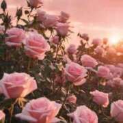 ヒメ日記 2025/05/19 18:51 投稿 新人・真白(ましろ) グランドオペラ福岡