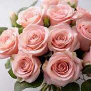 ヒメ日記 2025/05/20 01:41 投稿 新人・真白(ましろ) グランドオペラ福岡