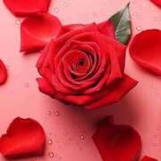 ヒメ日記 2025/05/20 22:01 投稿 新人・真白(ましろ) グランドオペラ福岡