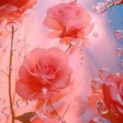 ヒメ日記 2025/05/21 09:25 投稿 新人・真白(ましろ) グランドオペラ福岡