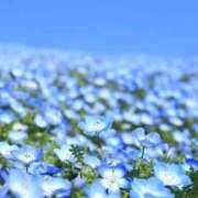 ヒメ日記 2025/05/21 23:31 投稿 新人・真白(ましろ) グランドオペラ福岡