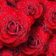 ヒメ日記 2025/05/22 12:21 投稿 新人・真白(ましろ) グランドオペラ福岡