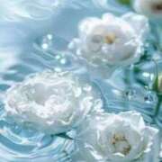 ヒメ日記 2025/05/22 14:31 投稿 新人・真白(ましろ) グランドオペラ福岡