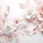 ヒメ日記 2025/05/22 16:55 投稿 新人・真白(ましろ) グランドオペラ福岡