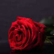 ヒメ日記 2025/05/22 18:51 投稿 新人・真白(ましろ) グランドオペラ福岡