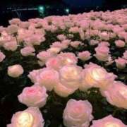 ヒメ日記 2025/05/23 01:21 投稿 新人・真白(ましろ) グランドオペラ福岡