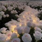 ヒメ日記 2025/05/23 18:31 投稿 新人・真白(ましろ) グランドオペラ福岡