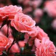 ヒメ日記 2025/05/24 10:25 投稿 新人・真白(ましろ) グランドオペラ福岡